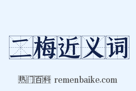 二梅近义词是什么意思的图片